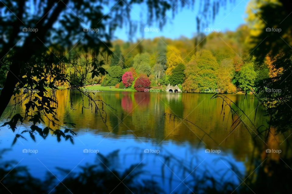 Autumnal lakeside reflection 