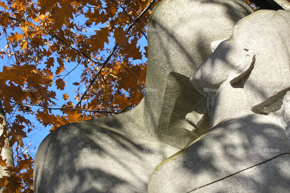 Sculpture In The Park