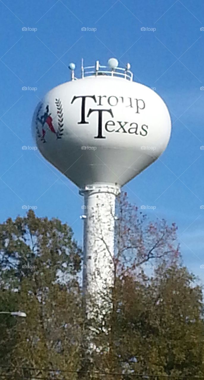 road trip as sighting