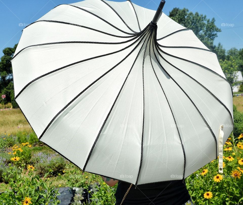 Sun umbrella 