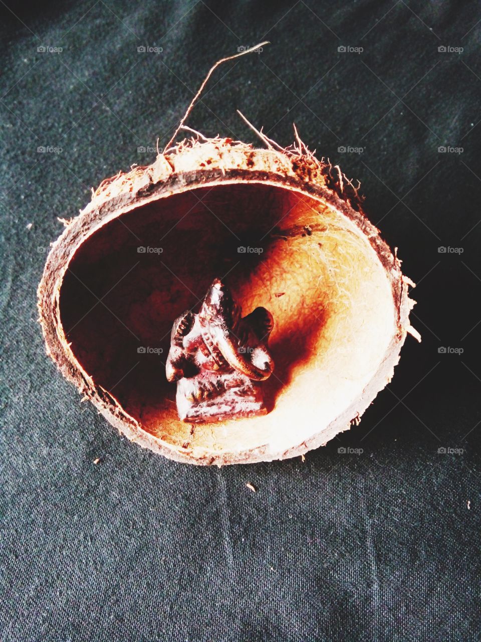 shree ganesh,god shree ganeshay,A great photo,a photo for everyone,a memorable photo,a no. photo,a photo to cherish,a beautiful photo,a great photo for the best people,an evergreen photo,a photo to remember for years,the best result of great photo