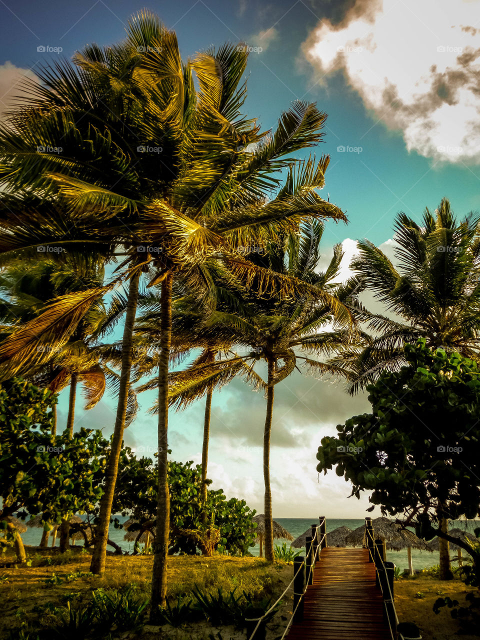 Beautiful tropical beach