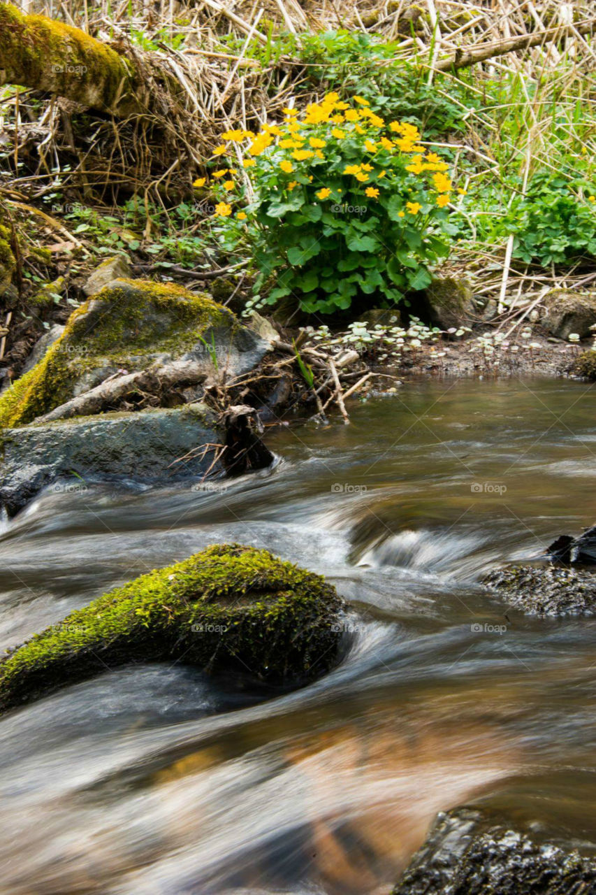 OH MY GOD THIS IS BEAUTIFUL! !