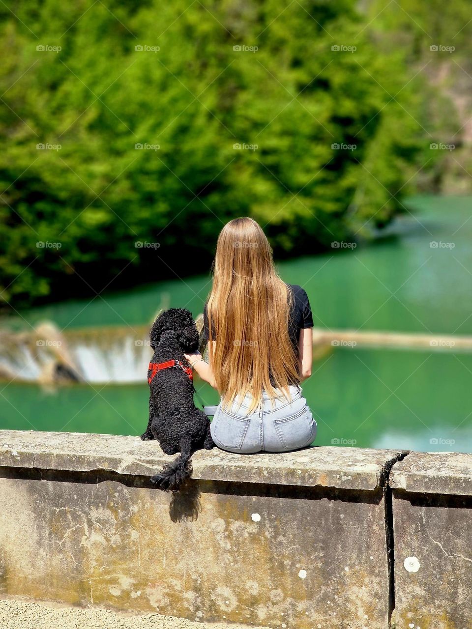 the girl and the dog admiring the beauties of nature