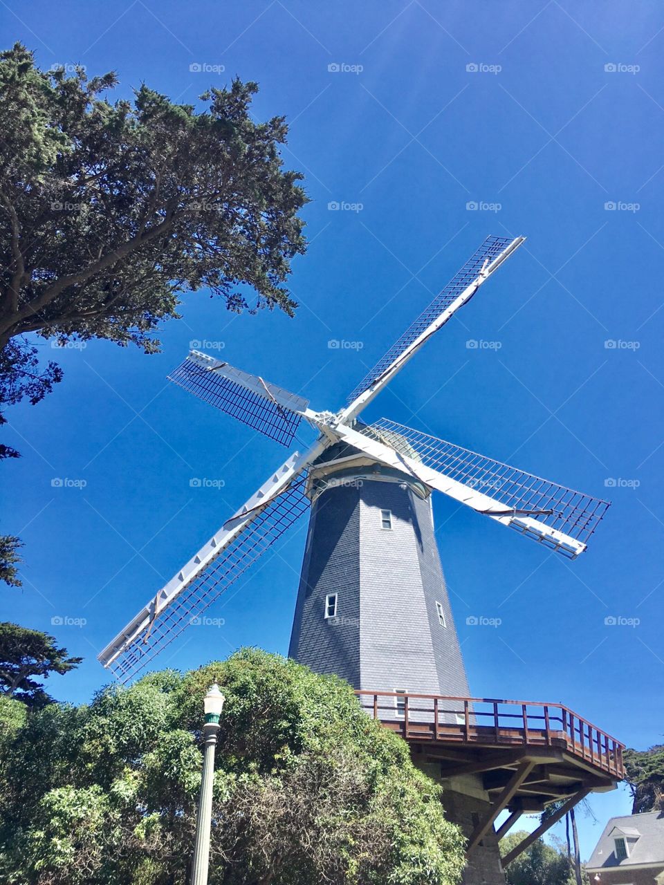 Windmills 