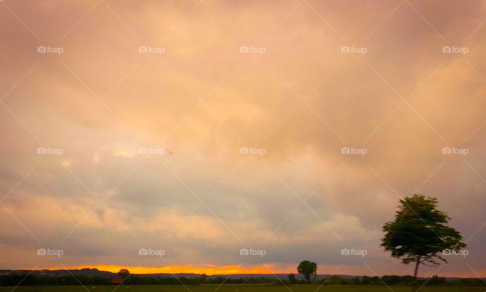 Fields at the Golden Hour