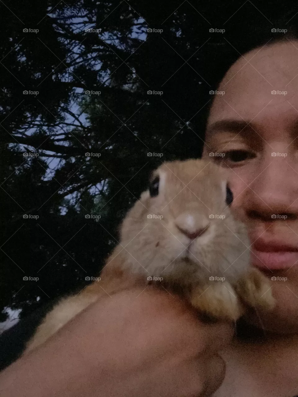 Bunny 