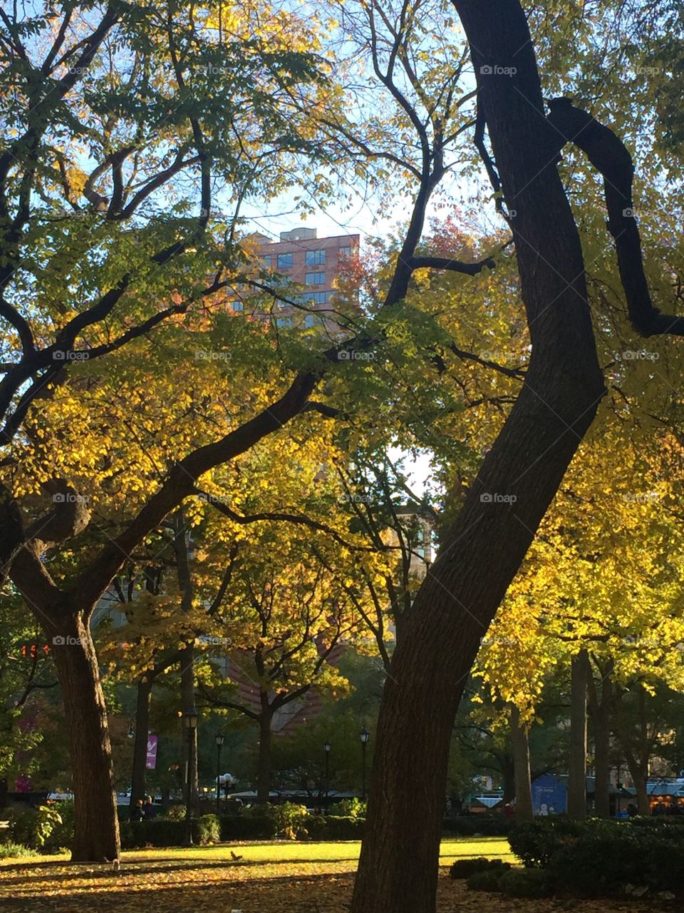 Union Square Park