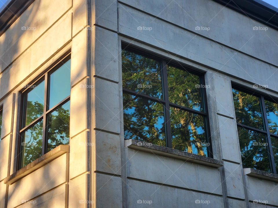 building corner with windows reflecting trees