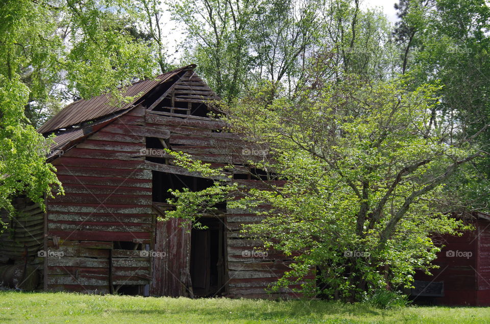 Old Barn