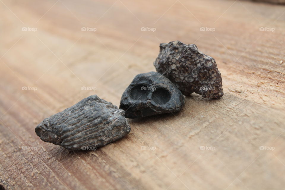 These are my favorite stones, I have had them for many years, they lie in a box, sometimes I take them out,