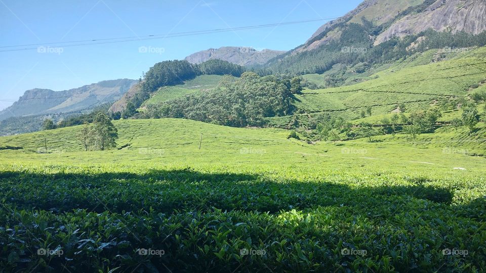 A walk in nature walks the soul back home.” – ...