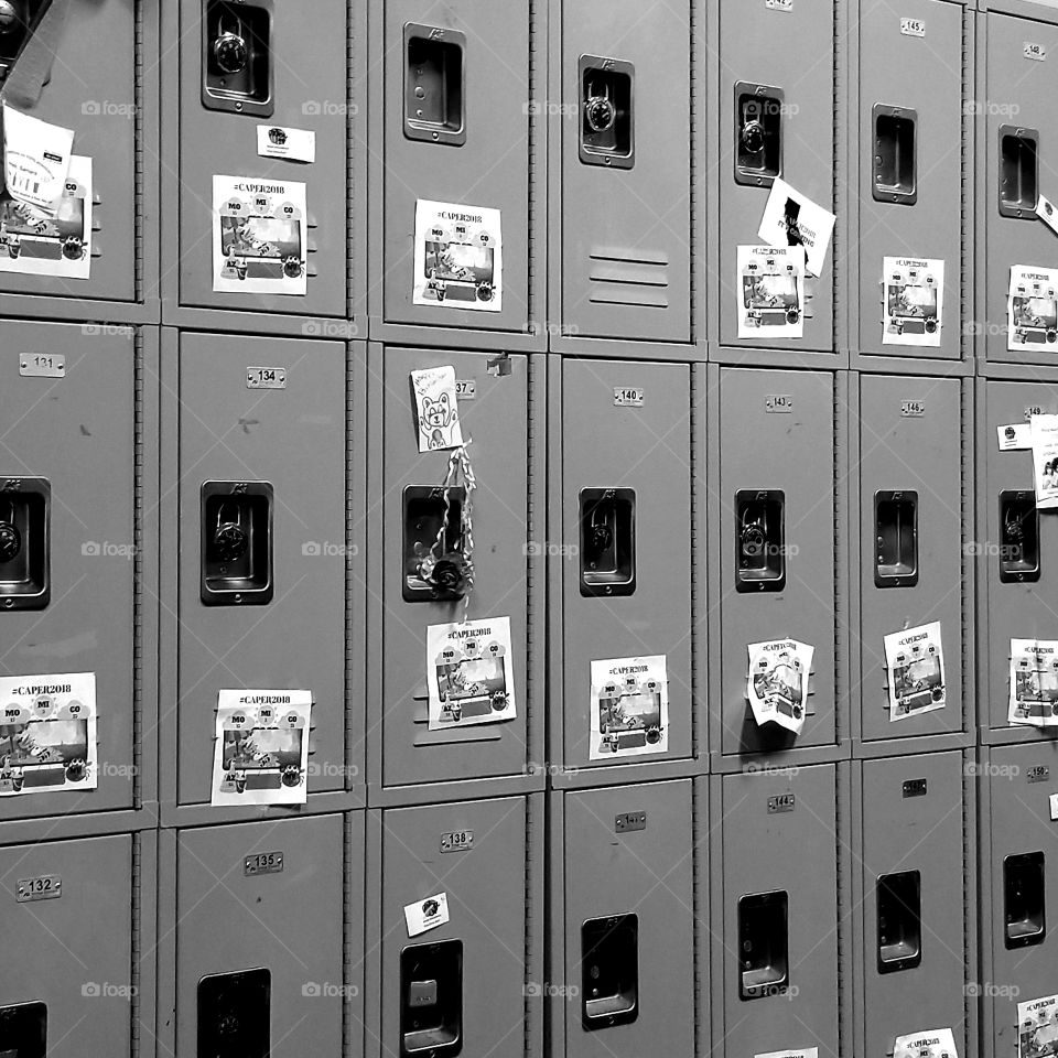 a wall of lockers in a monochrome tone, a sign or two on each locker door taped to the metal.