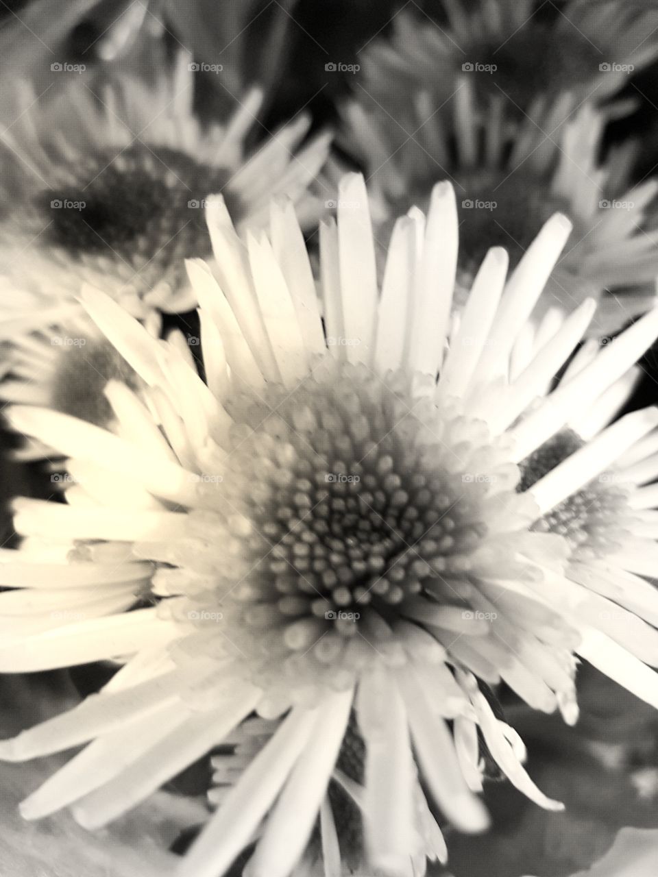 Black and white background