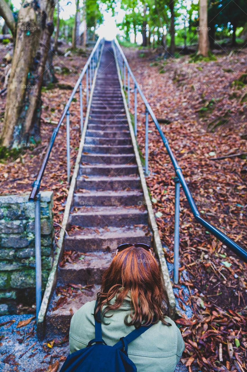 Stairs in forest.