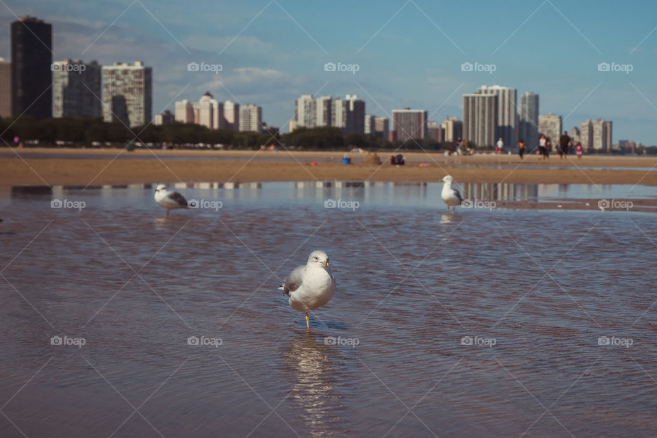 Relaxing over water 