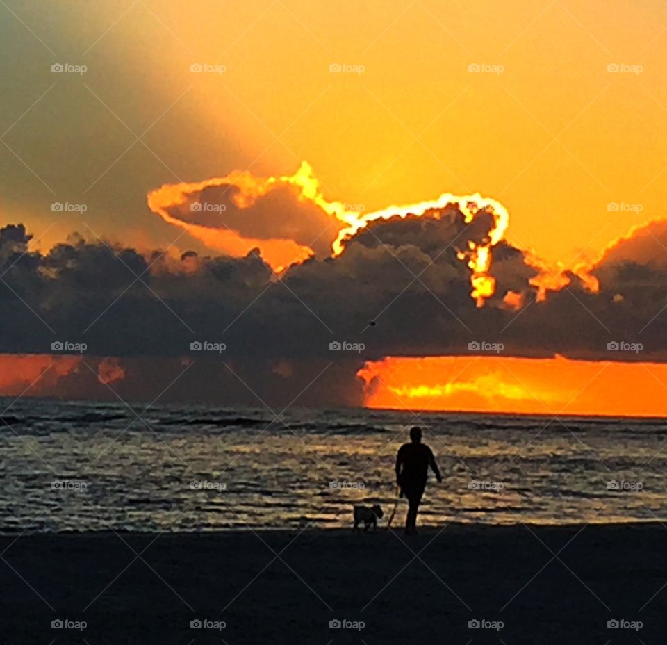 Man and dog at the beach