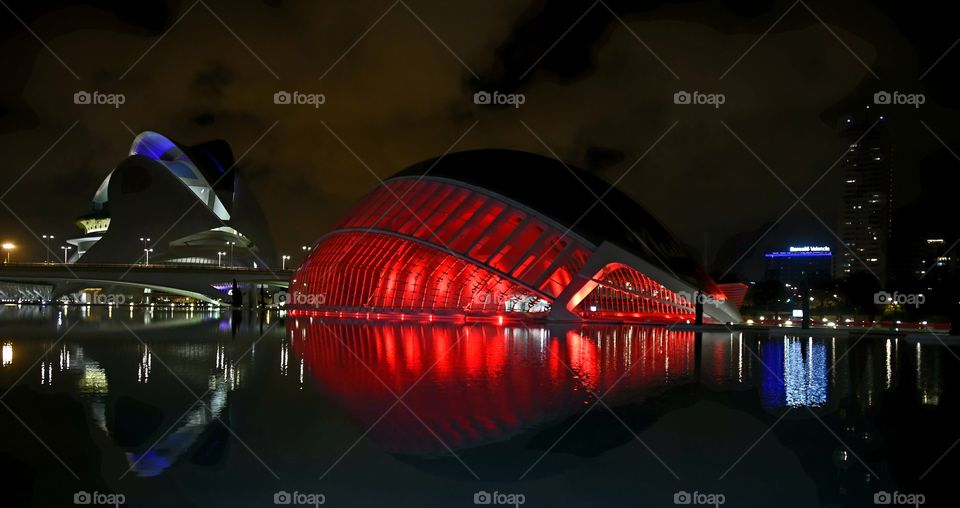 Ciudad de las Artes y las Ciencias 
City of Arts and Sciences