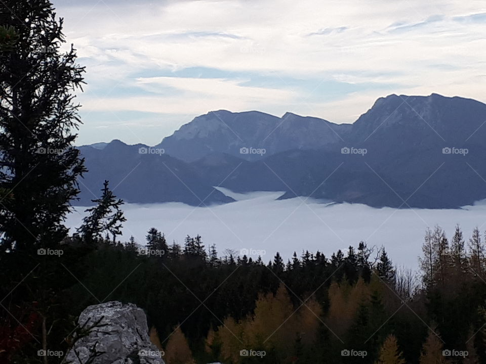 Am Schabenreitnerstein