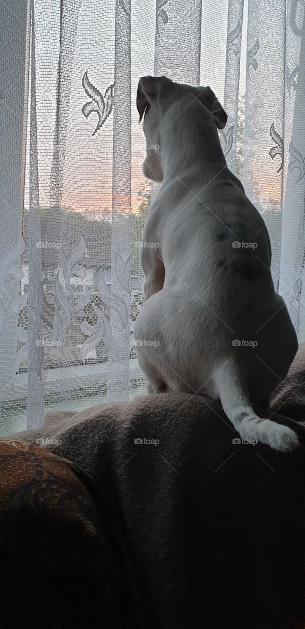 watching the world goes by