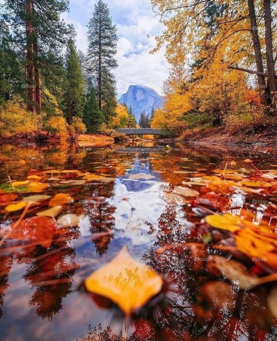 am so amazing and beautiful than everything that me NATURE🤩