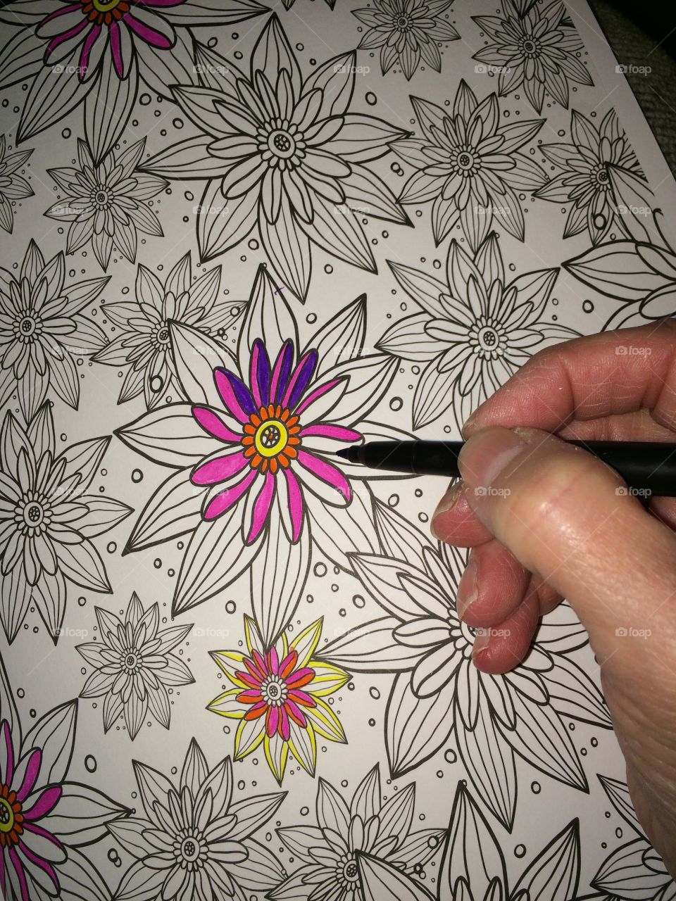 Coloring. Newest craze is adult coloring.  Get in on the craze. 