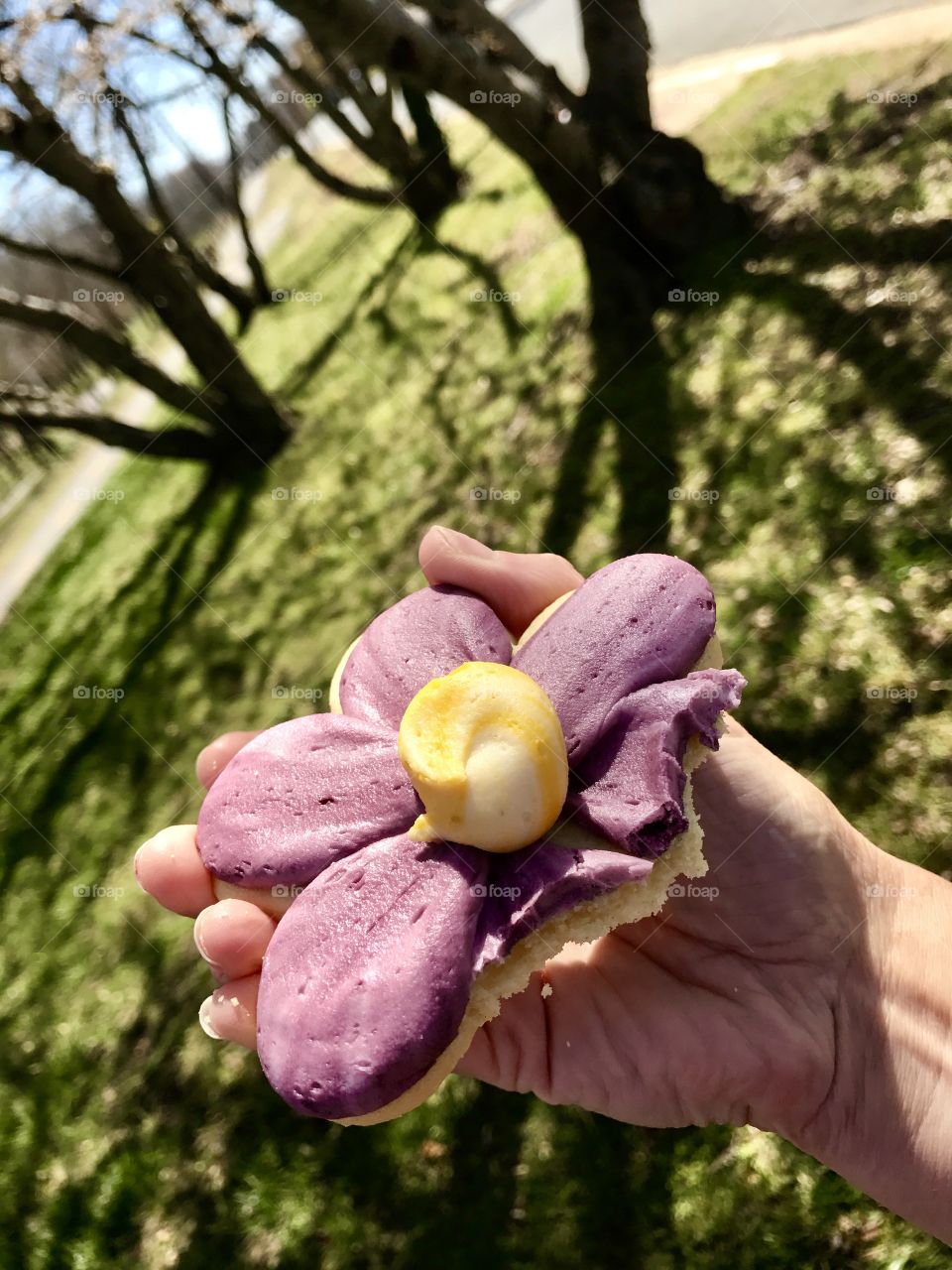 Flower Cookie with Bite