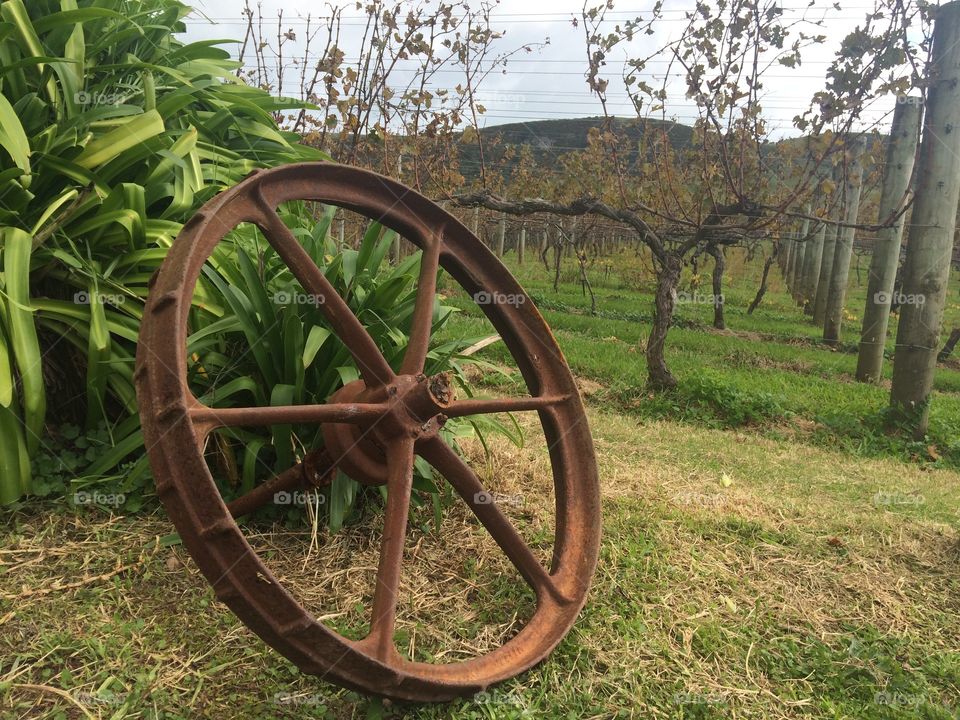 Wheel. Wine farm old wheel 