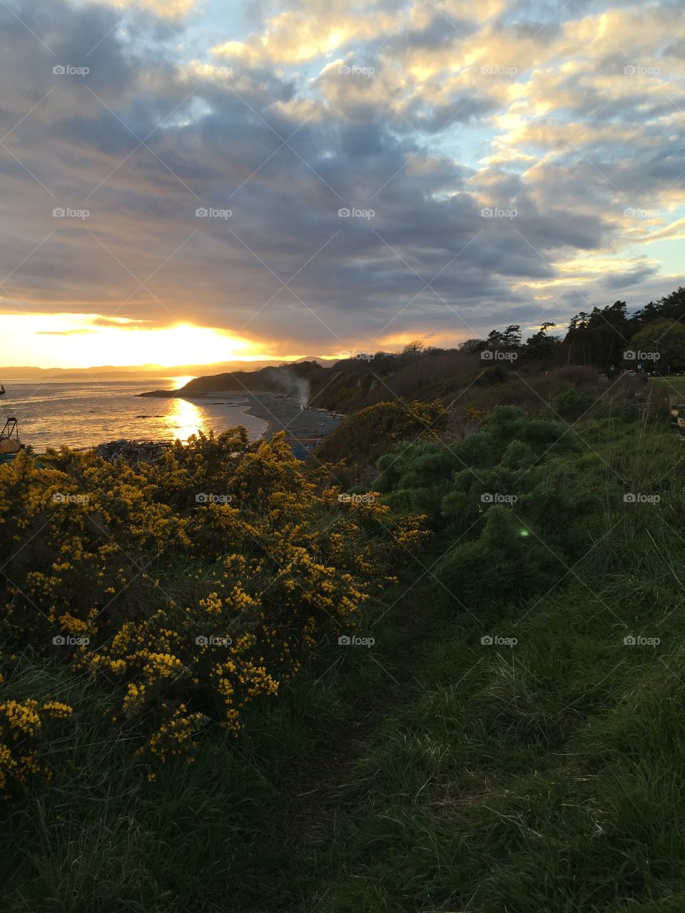 Spring view at sunset