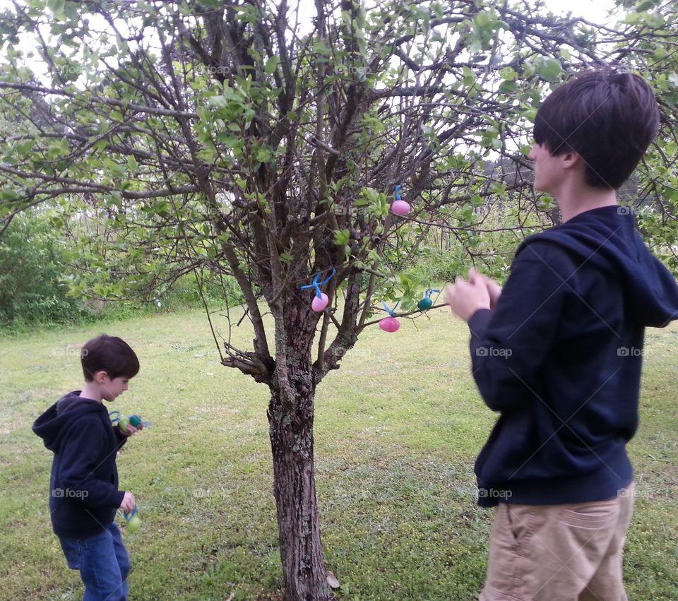 Brothers hanging eggs at Easter time  on my tree in the yard 