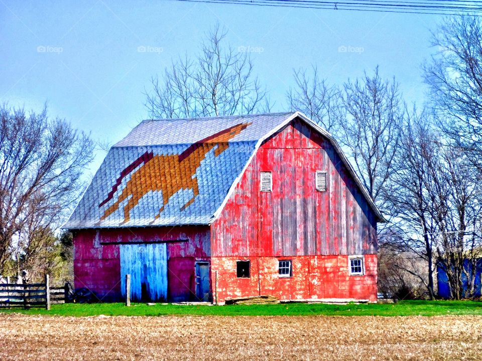 Old barn with a horse on it. 