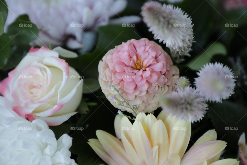 Pastel flowers in bouquet