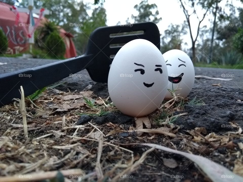 Happy eggs