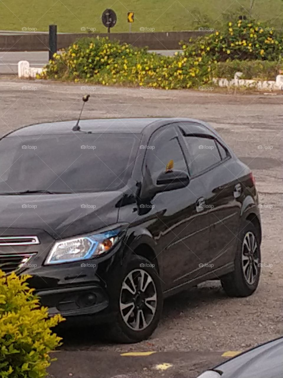 carro preto