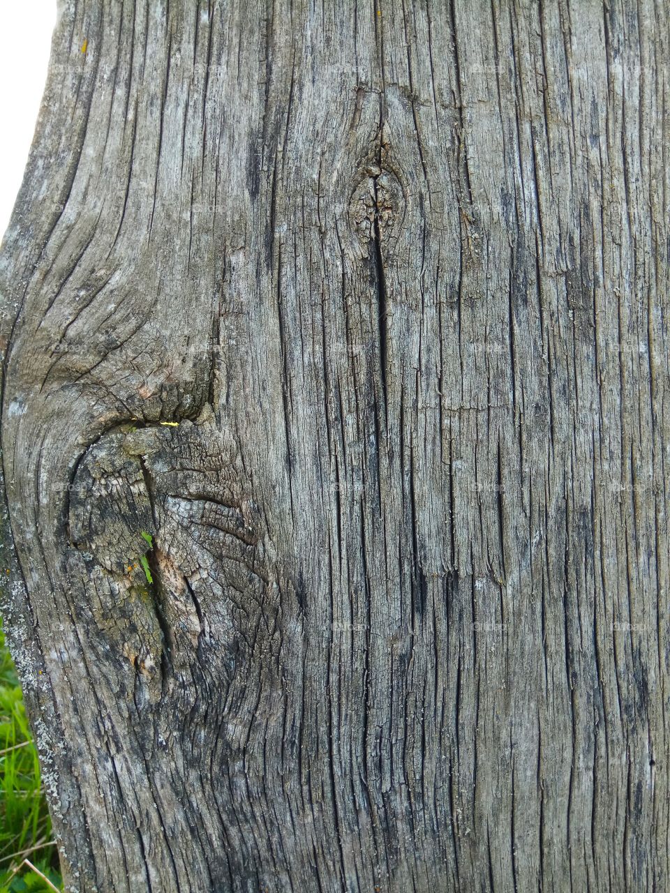 old dried wooden surface.