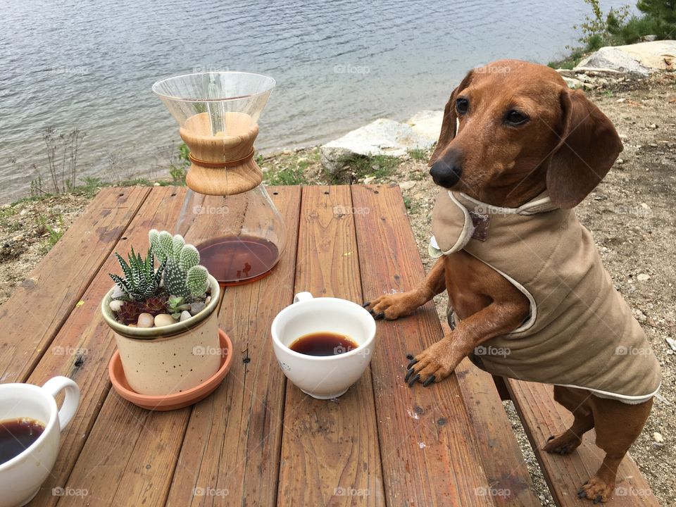 I don't want to go back to work on Monday!