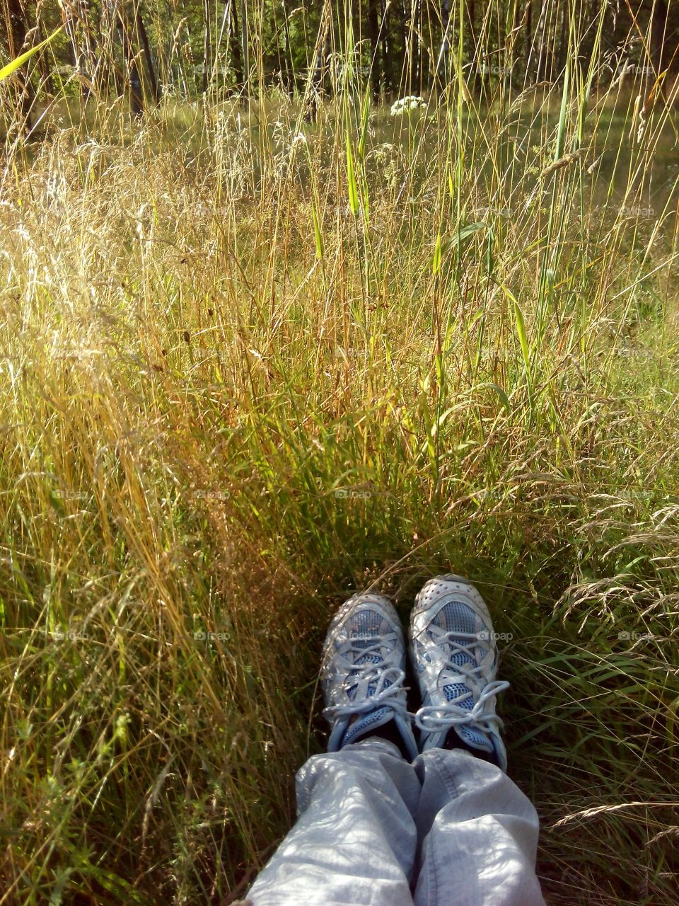 resting legs shoes in the green grass