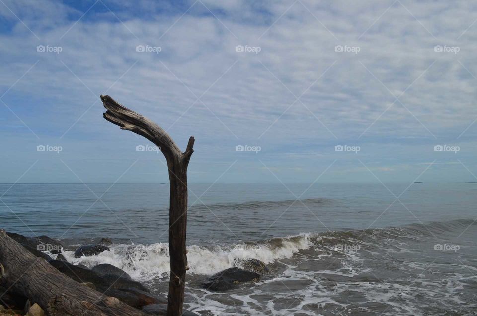 stick on the beach