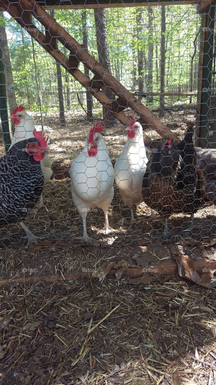 How do they see us, and how will we see them?