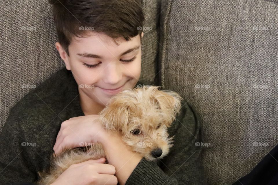 Boy holding Yorkiepoo puppy