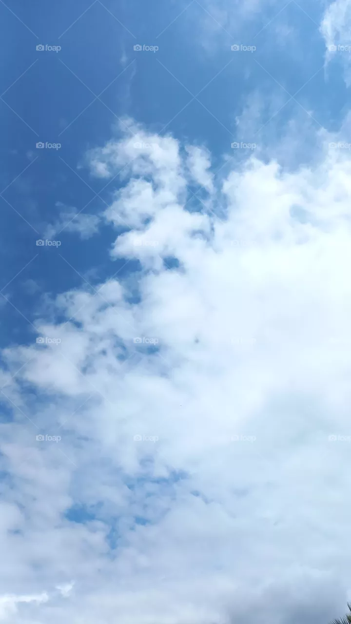 clouds