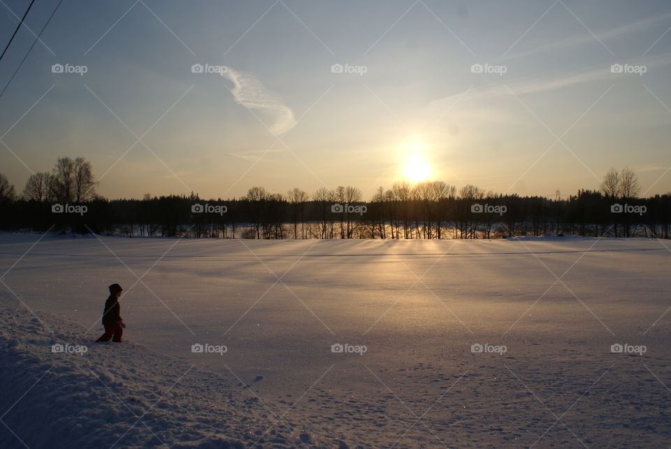 Beautiful winter landscape