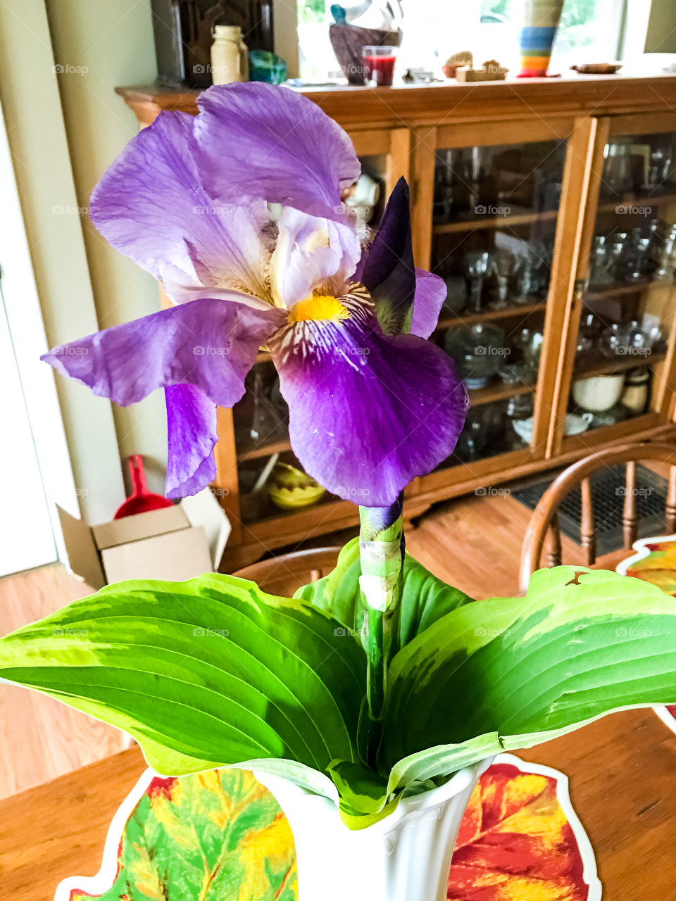 Purple iris in case on table in lakeside home