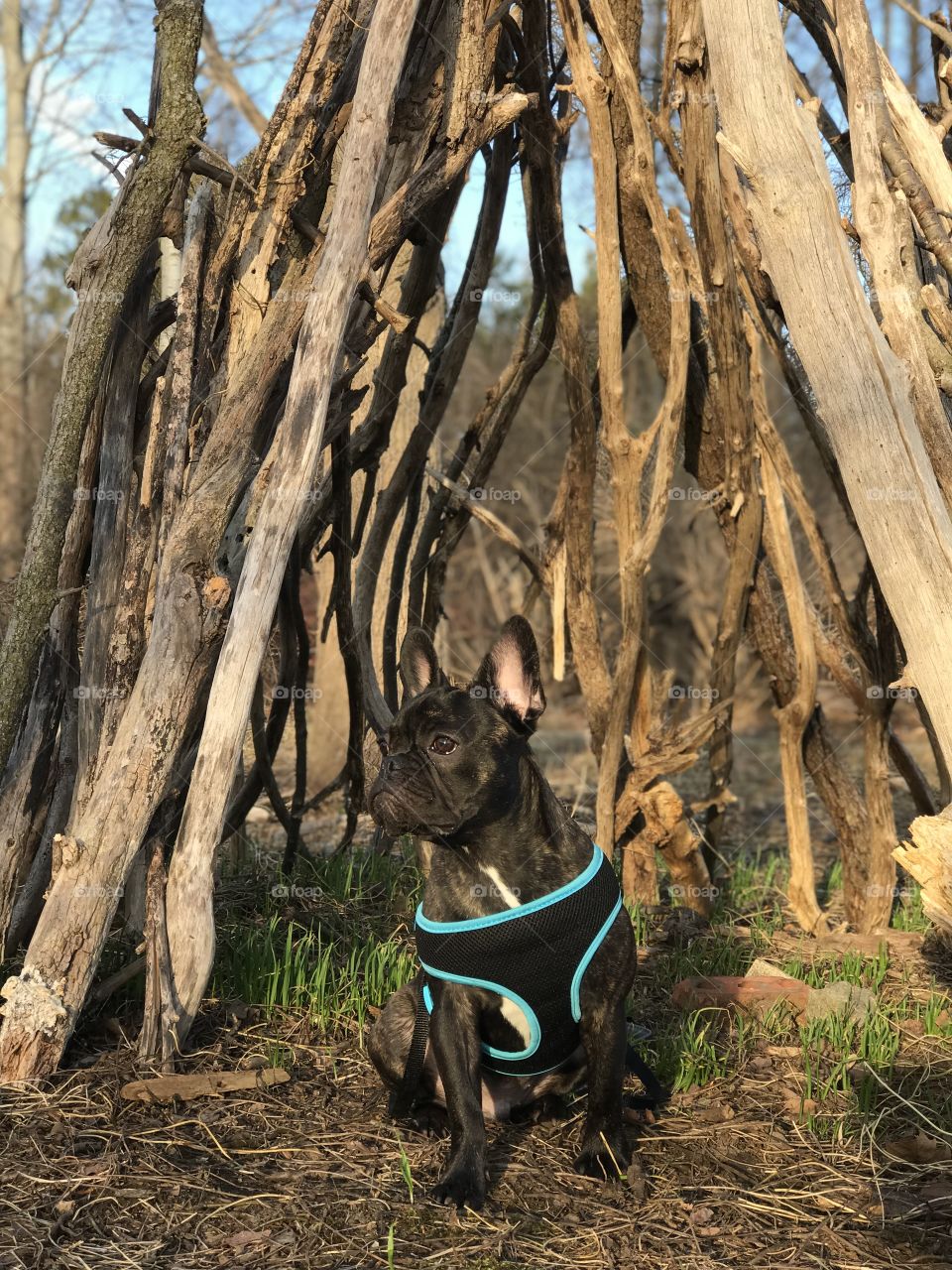 Finally hitting the double digits in today’s forecast. This Canadian winter has been harsh 😔