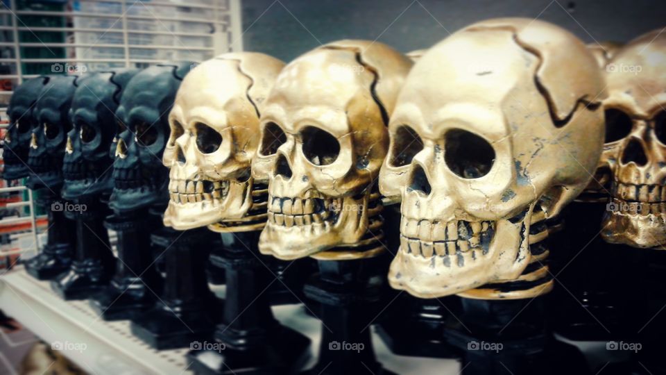 Skulls on Display