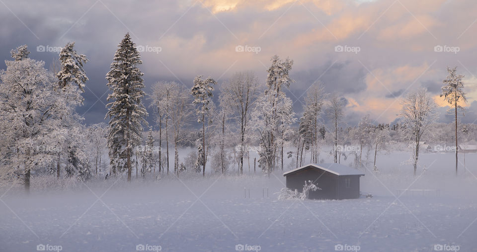 Winter wonderland in Krimulda, Latvia