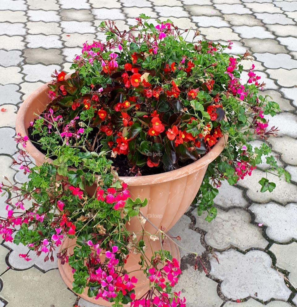 Street flowerpots with flowers