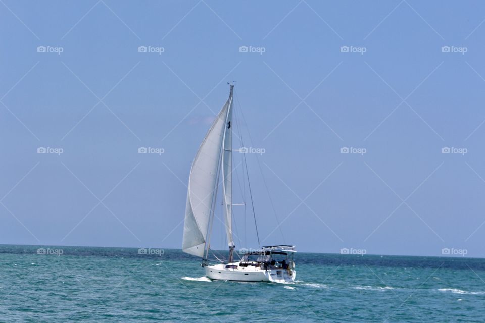 Sailboat on the ocean 