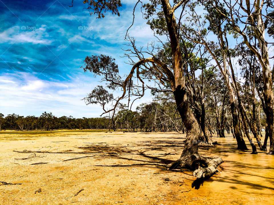 Aussie creek bed