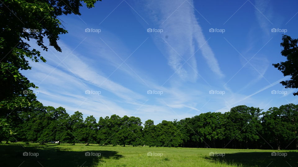 A day in May in Antwerp